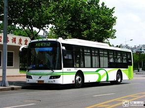 通州公交车爆料新闻最新,最新爆料揭示事件真相